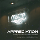 APPRECIATION (Analog Lab V Bank)